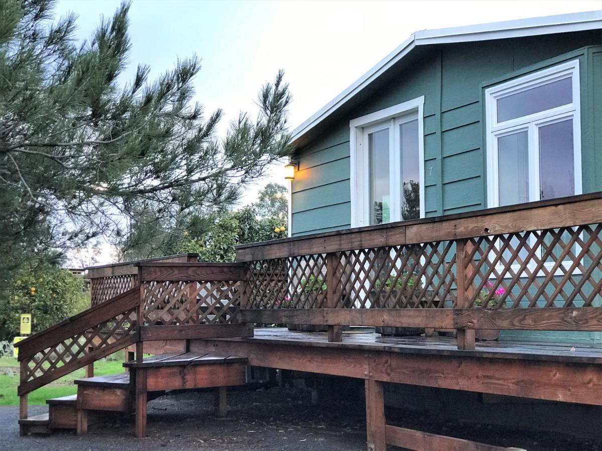 Casa Mayoral B&B Pet Friendly 瓜达鲁佩镇 外观 照片