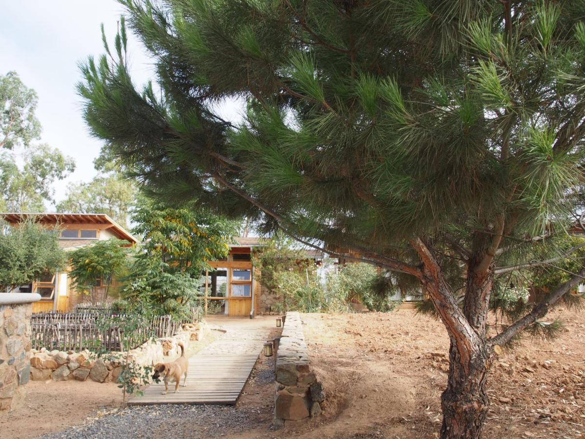 Casa Mayoral B&B Pet Friendly 瓜达鲁佩镇 外观 照片