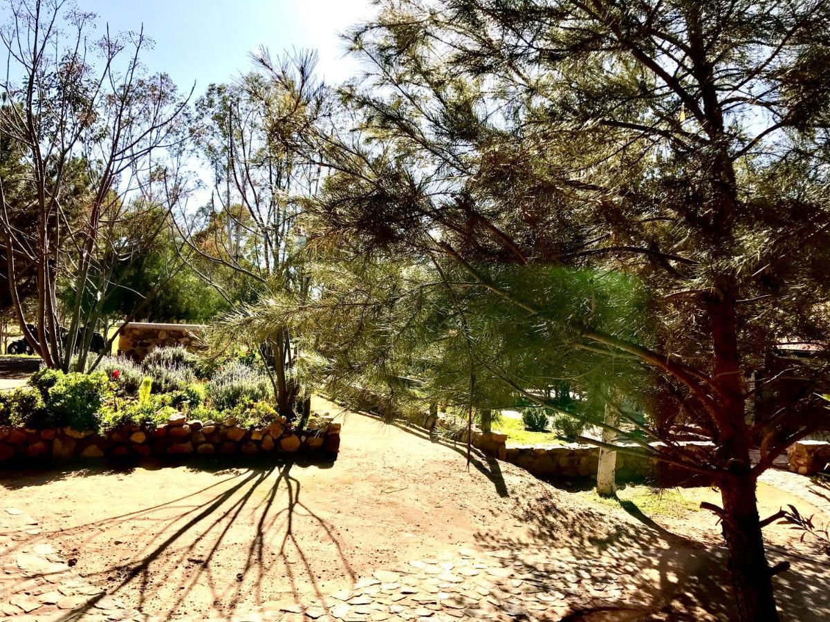 Casa Mayoral B&B Pet Friendly 瓜达鲁佩镇 外观 照片